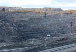 Zingo Plus Goes for Gold May 18 A